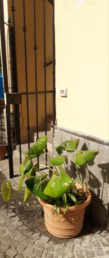 Pompei Vesevus Apartament Boscotrecase Bagian luar foto