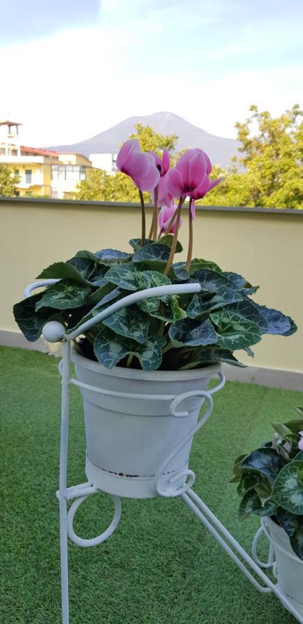 Pompei Vesevus Apartament Boscotrecase Bagian luar foto